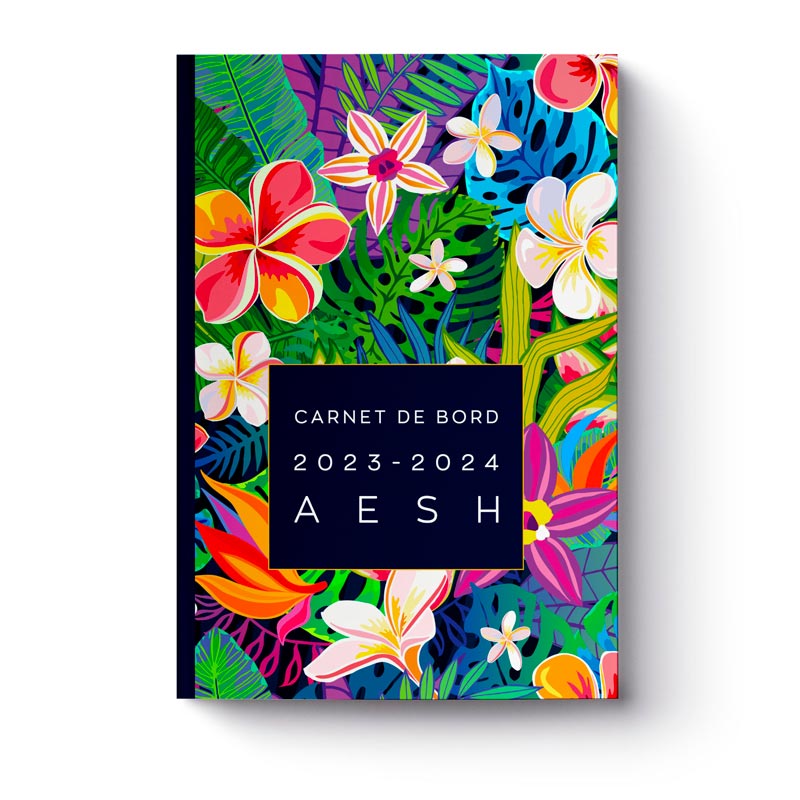 carnet-de-bord-2023-2024-aesh