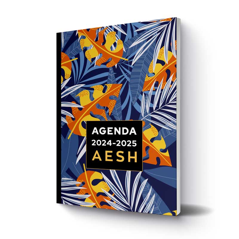 agenda-2024-2025-aesh-version-01