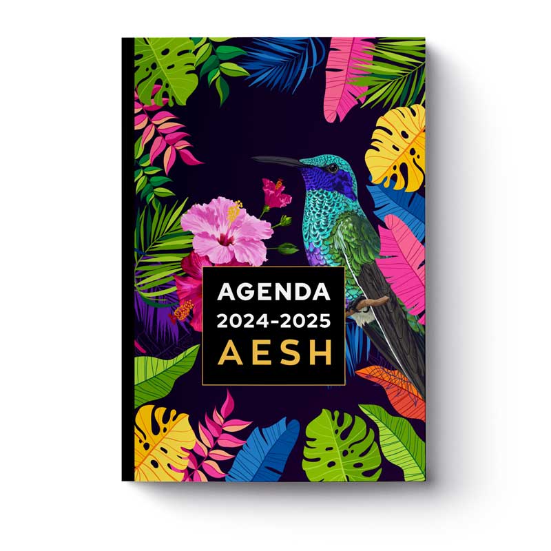 agenda-2024-2025-aesh-version-03